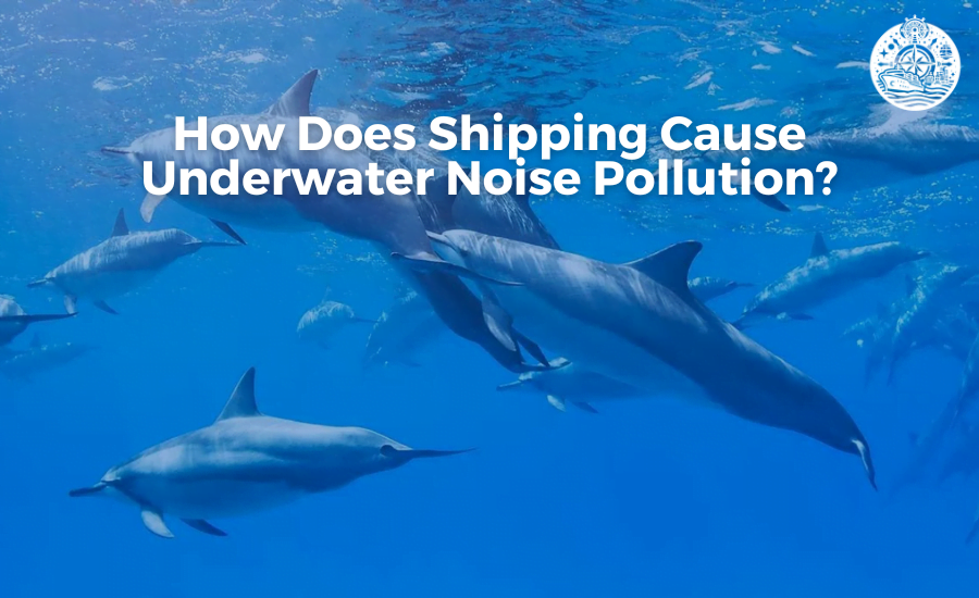 How Does Shipping Cause Underwater Noise Pollution?