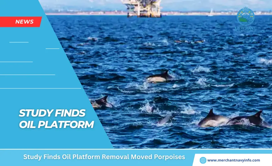 Study Finds Oil Platform Removal Moved Porpoises - Merchant Navy Info - News