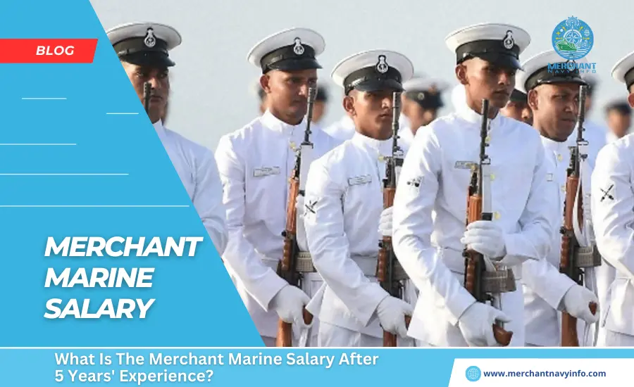 What Is The Merchant Marine Salary After 5 Years' Experience - Merchant Navy Info - blog