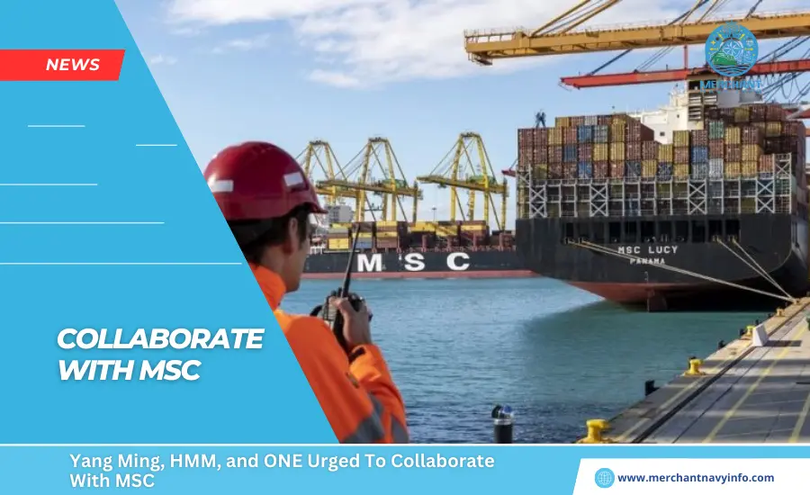 Yang Ming, HMM, and ONE Urged To Collaborate With MSC - Merchant Navy Info - News