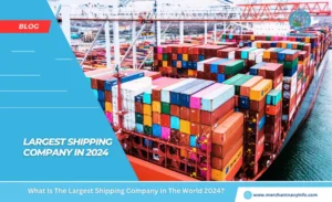 What Is The Largest Shipping Company In The World 2024 - Merchant Navy Info - Blogs