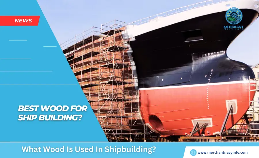 What Wood Is Used In Shipbuilding - Merchant Navy Info - News