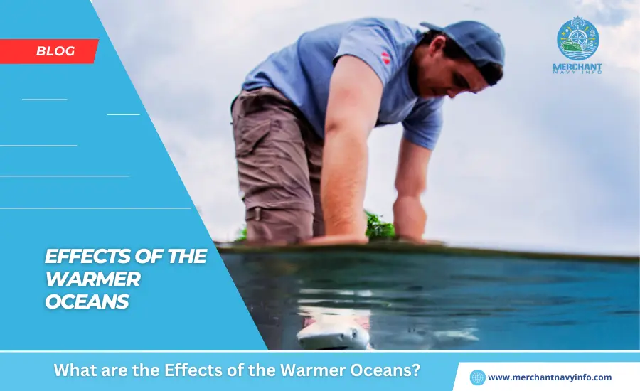 What are the Effects of the Warmer Oceans - Merchant Navy - Blog