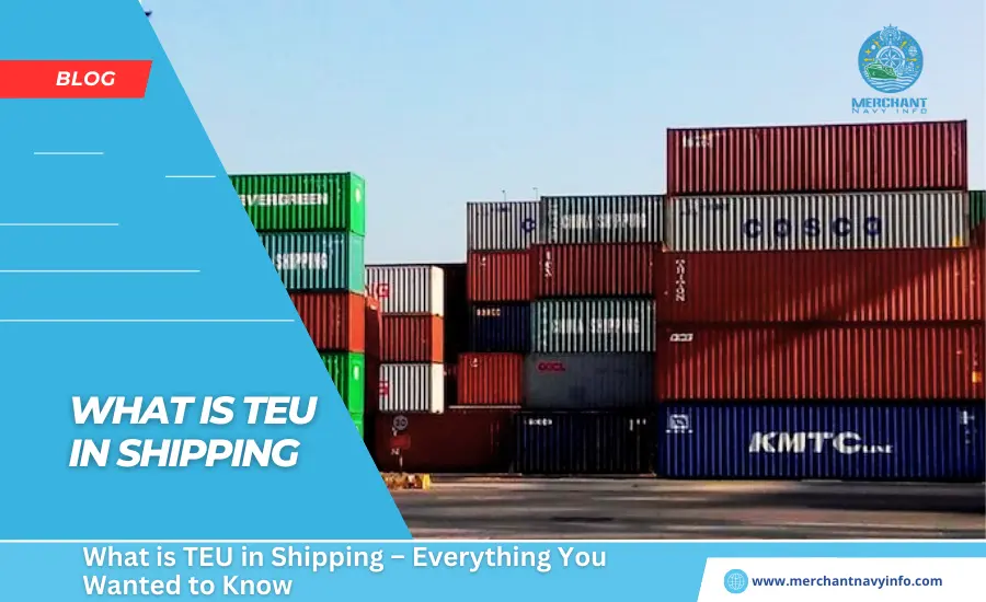 What is TEU in Shipping – Everything You Wanted to Know - Merchant Navy Info - blog