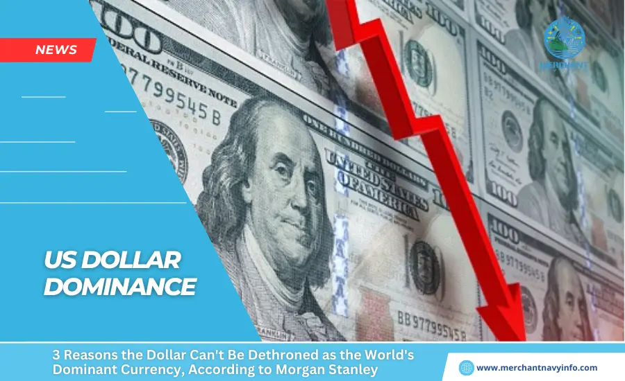 3 Reasons the Dollar Can't Be Dethroned as the World's Dominant Currency, According to Morgan Stanley - Merchant Navy Info - News