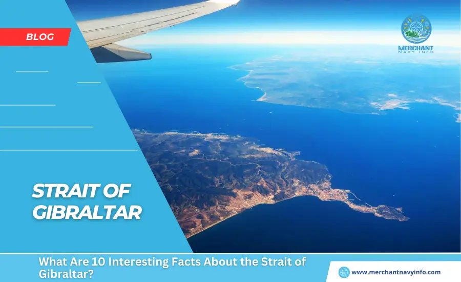 What Are 10 Interesting Facts About the Strait of Gibraltar - Merchant Navy Info - Blog