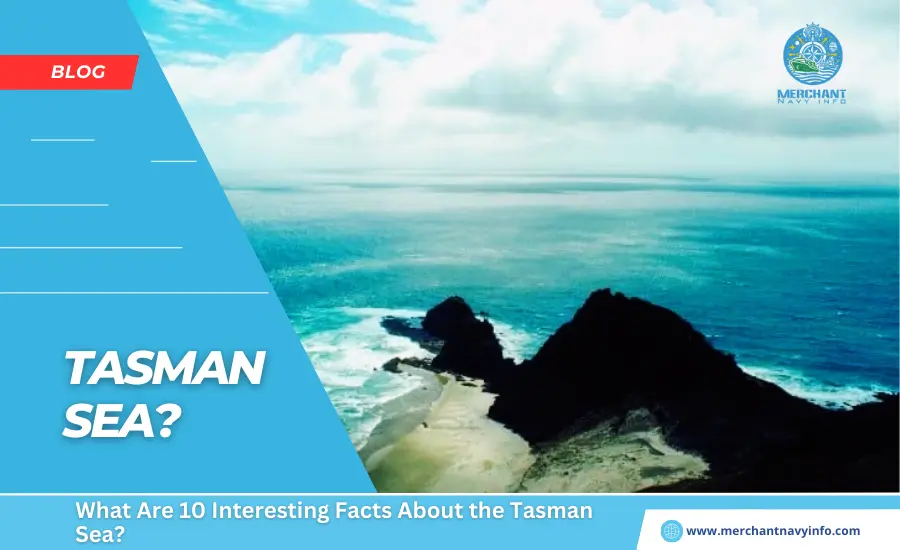 What Are 10 Interesting Facts About the Tasman Sea - Merchant Navy Info - Blog