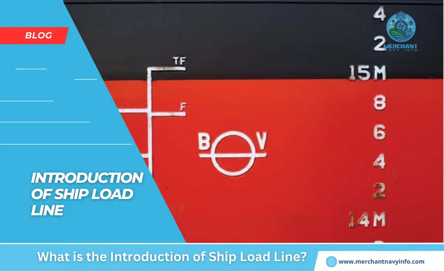 What is the Introduction of Ship Load Line - Merchant Navy Info - Blog