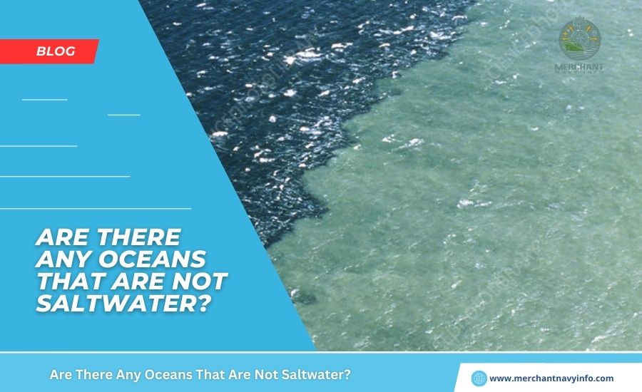 Are There Any Oceans That Are Not Saltwater? Merchant Navy Info