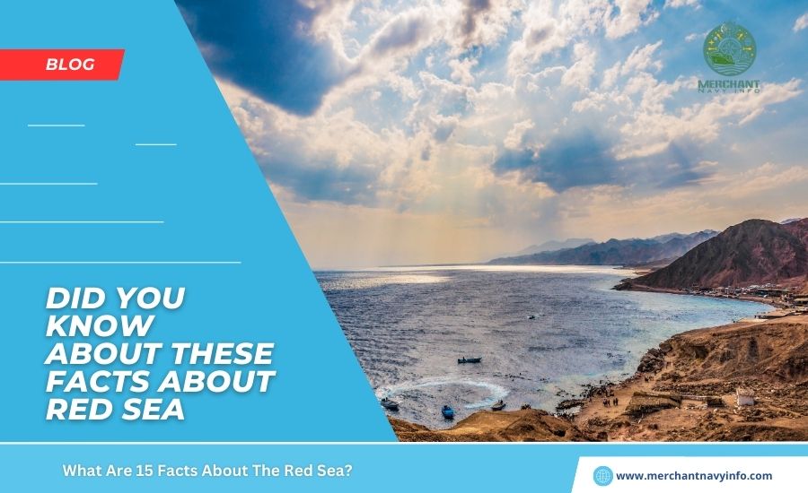 What Are 15 Facts About The Red Sea? Merchant Navy Info