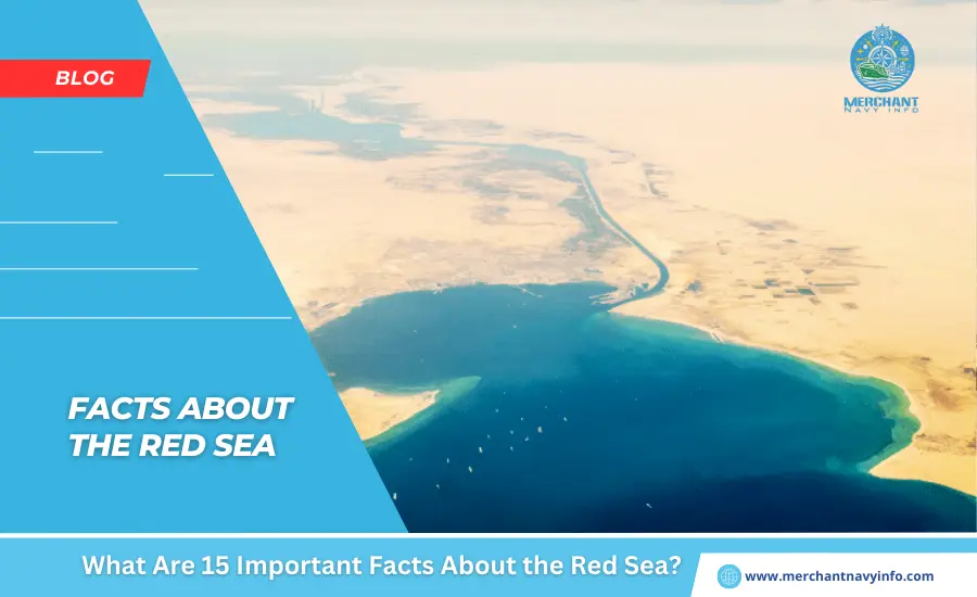 What Are 15 Important Facts About the Red Sea - Merchant Navy Info - Blog