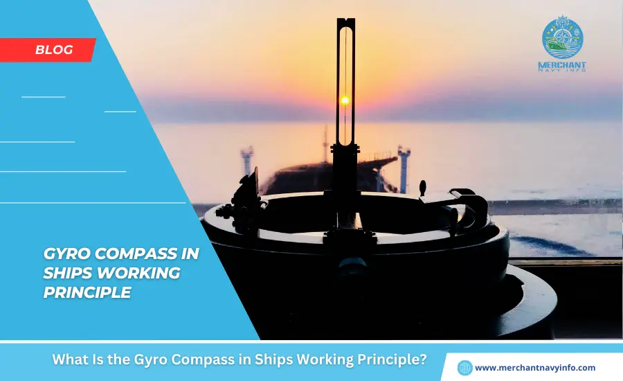 What Is the Gyro Compass in Ships Working Principle - Merchant Navy Info - Blog