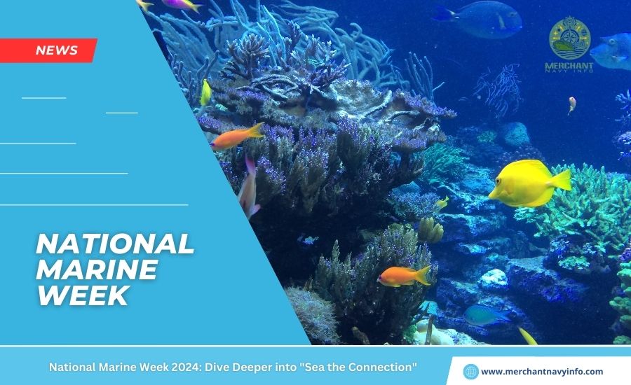 National Marine Week 2024: Dive Deeper into "Sea the Connection" – Our Shared Ocean Legacy - Merchant Navy Info