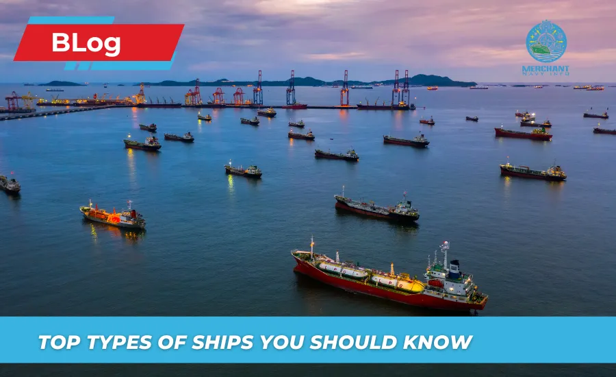 Top 15 Types Of Ships You Should Know - Merchant Navy Info