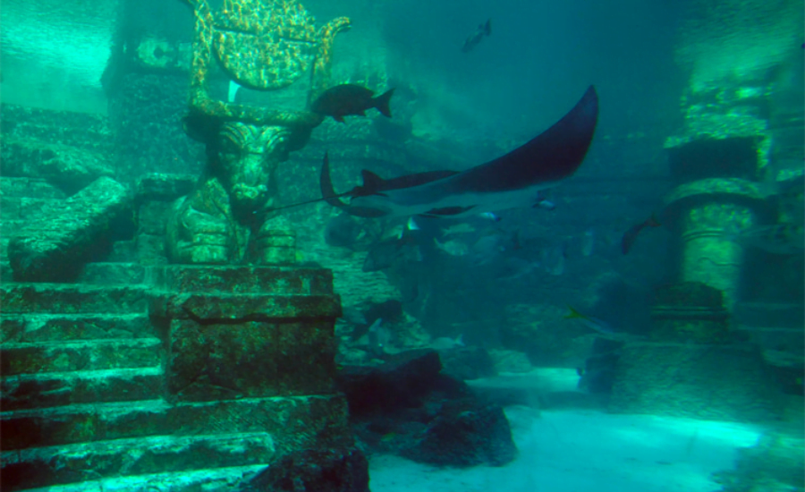 10 Myths About The Lost City Of Atlantis - Merchant Navy Info