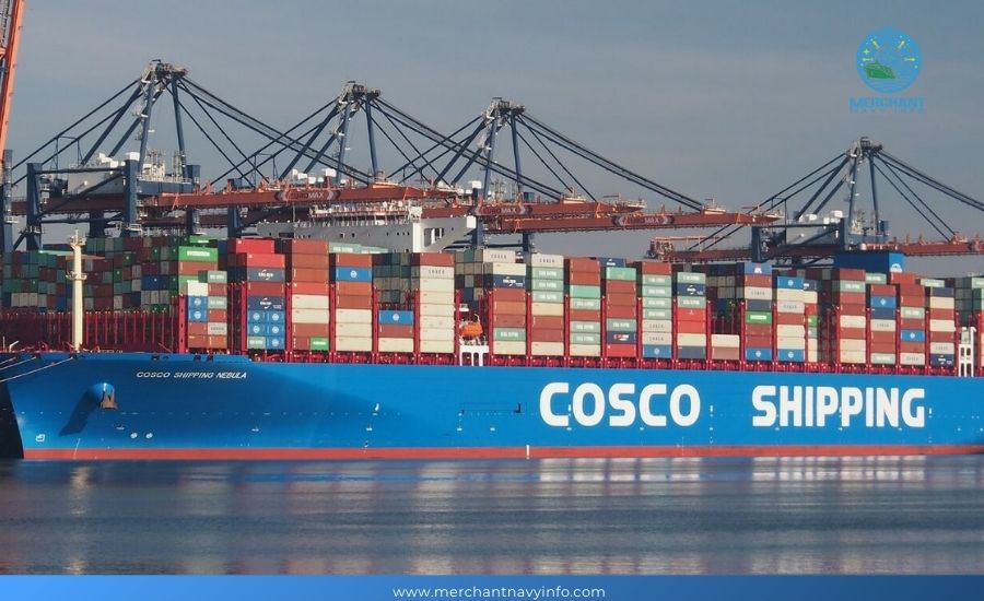 Top 10 Container Shipping Companies - Merchant Navy Info