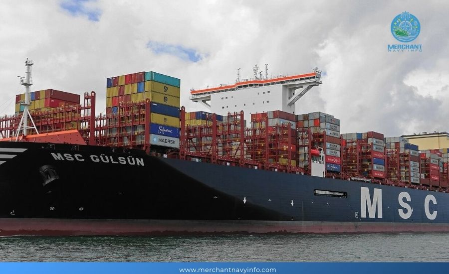 Top 10 Container Shipping Companies - Merchant Navy Info