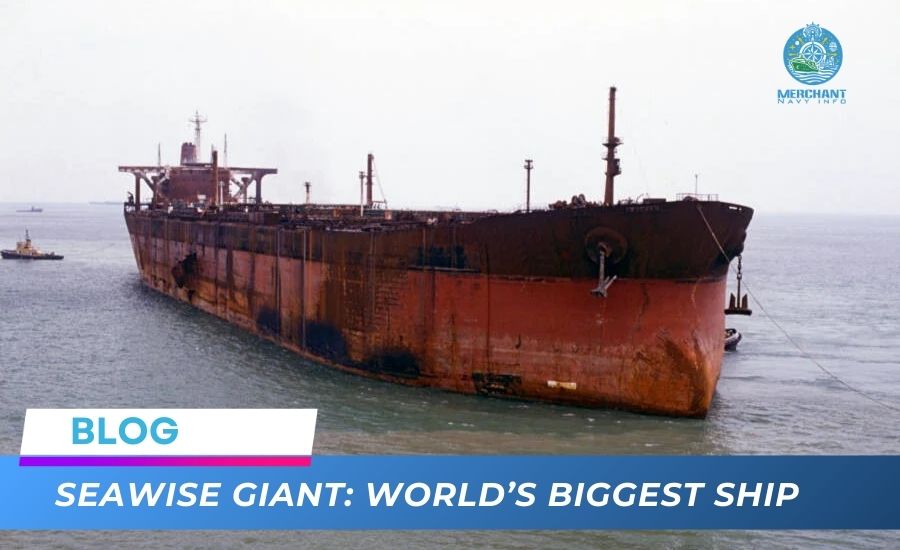 Seawise Giant: World’s Biggest Ship - Merchant Navy Info