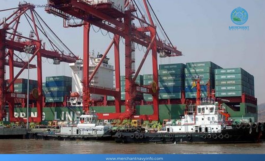 Jawaharlal Nehru Port: Complete Guide To Largest Container Port In India - Merchant Navy Info