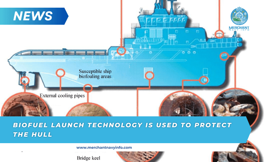 Biofuel Launch Technology Is Used To Protect The Hull - Merchant Navy Info