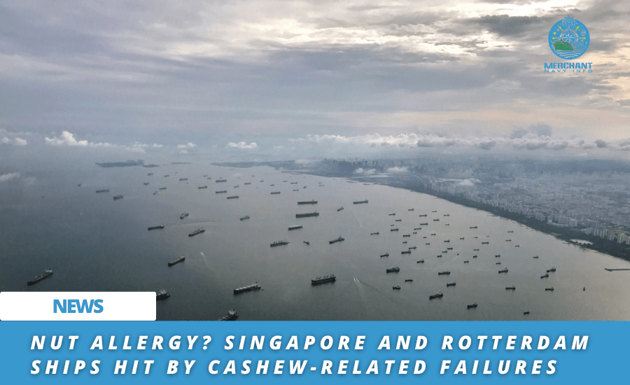 Nut Allergy? Singapore and Rotterdam Ships Hit by Cashew-Related Failures - Merchant Navy Info