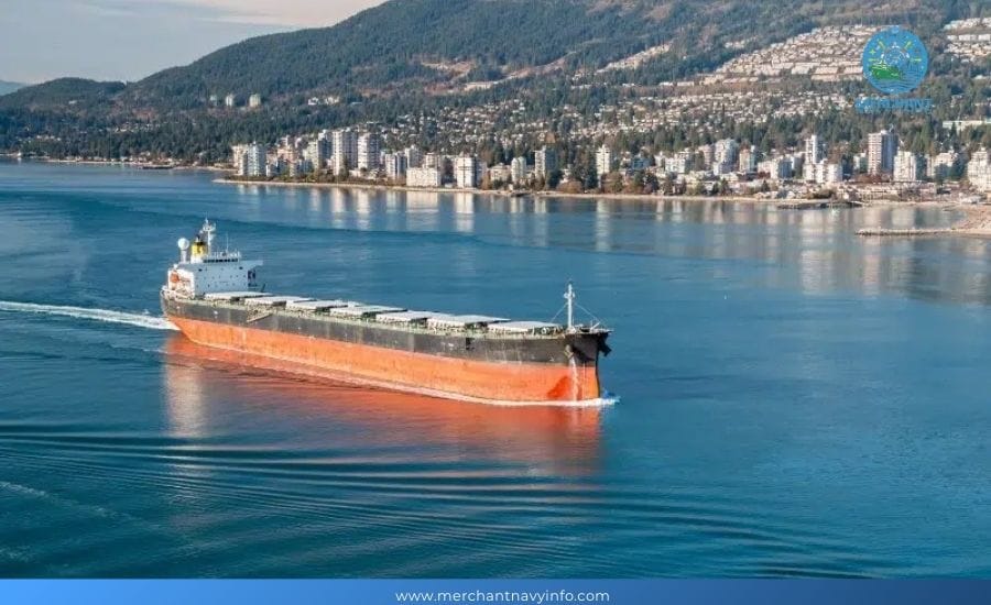 What is a Bulk Carrier? Structure - Merchant Navy info